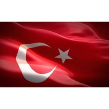 Sanat Türk Bayrağı 40X60 cm Özel Alpaka Kumaş Bayrak BKT-103
