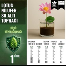 Çiçeği (Nilüfer) Için Su Altı Torf Karışımı Toprağı (1 Lt Toprak) - 1 Adet Lotus Tohumu