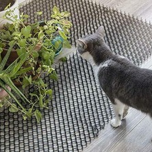 Kovucu Paspası, Dikenli Kazık Durdurucu Dikenli Şerit Kedi Hayvanı Dikenli Kovucu Engelleyici Pa