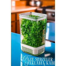 Yeşillik Saklama Kabı 2900 ml - Taze Yeşillik Için Süzgeçli Saklama Kutusu, 7430000721957