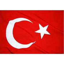 Sanat Tekne Bayrağı 30 * 45 5'li