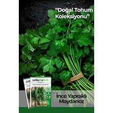 Adet Ince Yapraklı Maydanoz
