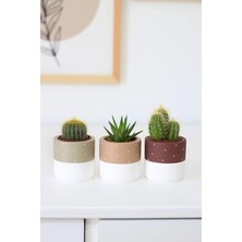 Beton Saksı Üçlü Set Küçük Boy Sukulent Saksısı (Kahverengi)