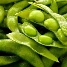 Doğal Soya Fasulyesi Tohumu 50 Adet Tohum