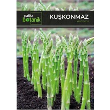 Adet Kuşkonmaz Tohumu - Yeşil Meyve