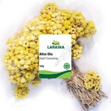 Altın Otu Demet 100G - Dwarf Everlasting