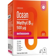 Methyl B12 Dilaltı Sprey 500MCG 5 ml