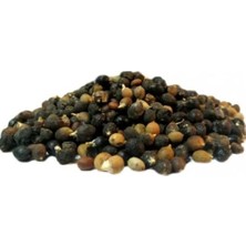 Cüce Palmiye Tohumu 100GR