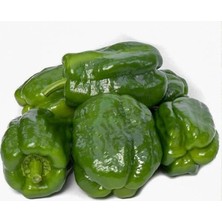 Biber Antep Acı (Çoklu Tohum) - 5 Gram