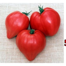 Adet Kalp Şeklinde Domates Tohumu