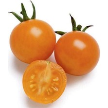 Nadit Cherry Turuncu Domates Tohumu 20 Adet Tohum