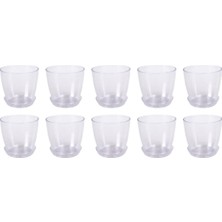 Saksısı Kristal Orkide Saksı 10 Adet 1,5 Litre Orkide Saksı Şeffaf Orkide Saksısı Şeffaf
