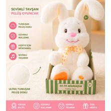 Halley Peluş Müzikli Hareketli Tavşan Oyuncak 28 cm