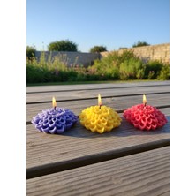 AY IŞIĞI MUMLARI Yıldız Çiçeği 3'lü Hediyelik Dekoratif Hoş Kokulu Soya Wax Mum (Kırmızı + Sarı + Mor Renkli)