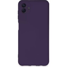 Gülsüm Aydın Newface Samsung Galaxy A04E Kılıf Nano Içi Kadife Silikon - Mor