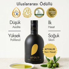 Ayolis Premium Gurme Ayvalık Zeytinyağı 500 Ml Ödüllü Yüksek Polifenollü Erken Hasat Soğuk Sıkım Natürel Sızma Zeytinyağı
