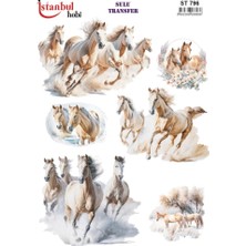 Ehobici Sulu Transfer Kağıdı 25X35CM ST-796