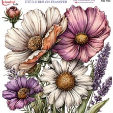 İstanbul Hobi Ütü ile Rub On Transfer Kağıdı 30X30CM RB-793