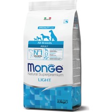 Monge Light Somonlu Pirinçli Yetişkin Diyet Köpek Maması 2,5 kg