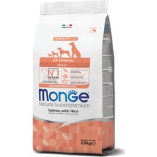 Monge Adult Tek Proteinli Somonlu Pirinçli Yetişkin Köpek Maması
