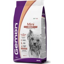 Gemon Mini Adult Somonlu Pirinçli Küçük Irk Yetişkin Köpek Maması