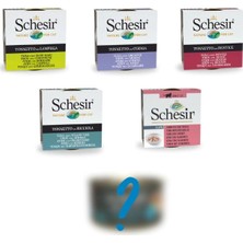Schesir 6 Çeşit Karışık Kedi Konservesi 6 Al 5 Öde Paket