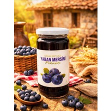Sipahi Çiftliği Yaban Mersini Pekmezi