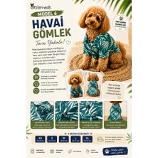 Patilemece Yeşil Havai Desenli Köpek Gömleği
