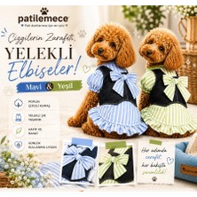 Patilemece Yeşil Çizgili Köpek Elbisesi