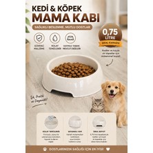 Funny Life Gondol 0,75 Lt Kedi Köpek Mama ve Su Kabı – Dayanıklı Plastik Mama Kabı, Kolay Temizlenir Beyaz Mama Kasesi
