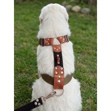Balkonda Köpek Göğüs Tasması H Tipi Büyük Irk Ayarlamalı 4 cm Genişlik Kolon Kordon Haki & Kahverengi & Siyah
