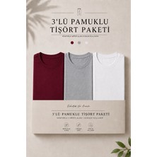 Damga 3 Adet Erkek Günlük Yazlık Bol Basic Kısa Kollu Tişört