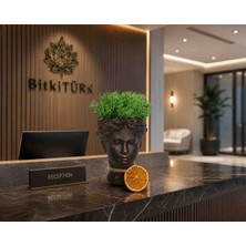 BitkiTÜRK Dekoratif Yüz Saksı Stabilize Moss Tasarımlı Modern Masaüstü Dekor Objesi