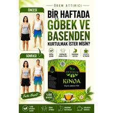 Bahar Detox İLK HAFTADA HAFİFLE!! kinoa Bitki detox Çayı Form Kino’lı Çayı detoks zayıflama bitkisel diyet ürünleri besin destekleyici 1 kutu 30 adet ) odem vesıskınlık kapsül