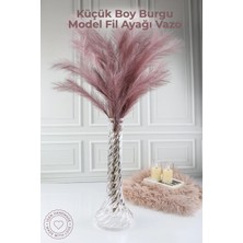 Nandy Home Küçük Boy Burgu Model Fil Ayağı Vazo - 25CM - Şeffaf Dekoratif Vazo