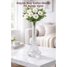 Nandy Home Küçük Boy Kafes Model Fil Ayağı Vazo - 25CM - Şeffaf Dekoratif Vazo