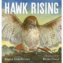 Pandora Kitabevi Hawk Rising (Hardcover)