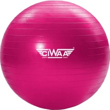 Ciwaa CWA-2045 65 cm Pembe Pilates Topu Dura-Strong Tekil Kullanım Amacıyla Spor İçin Uygun