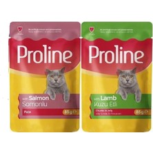 Proline Pouch Karışık Yaş Kedi Mama 85 gr x 12 Adet
