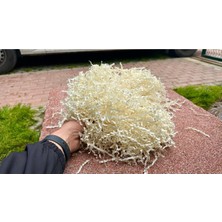 Orbak Kağıtçılık 1 kg Krem Zigzag Kırpık Kağıt | Hediye Kutusu Dolgu ve Süsleme Malzemesi