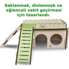 Merdivenli Kaydıraklı Oyun Alanı Hamster Oyuncağı Yuvası 20X10X11 cm
