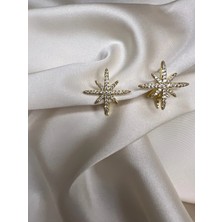 Roha Çelik Gold Lodestar Küpe