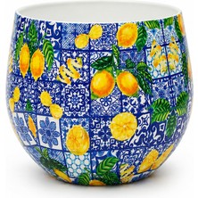 Decor Impex Amalfi Metal Saksı M