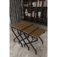 The Violett Lotus 3'lü Zigon Sehpa Orta Sehpa Dekoratif 3 Boy Ofis Sehpası Salon Sehpası Çok Fonksiyonlu