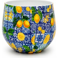 Decor Impex Amalfi Metal Saksı XS