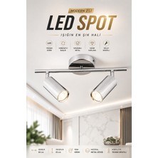UltraMint Şık ve Ayarlanabilir Premium Silver Ray Spot LED Tavan Aydınlatması (2’li)