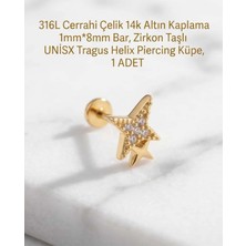 Begonia Accessories 316L Cerrahi Çelik Altın Kaplama Kararmaz Alerji Yapmaz Zirkon Taş Figür Unisex Tragus Helix Küpe Piercing A429-54