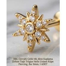 Begonia Accessories 316L Cerrahi Çelik Altın Kaplama Kararmaz Alerji Yapmaz Zirkon Taş Figür Unisex Tragus Helix Küpe Piercing A106-26