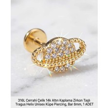 Begonia Accessories 316L Cerrahi Çelik Altın Kaplama Kararmaz Alerji Yapmaz Zirkon Taş Figür Unisex Tragus Helix Küpe Piercing A106-27
