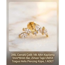 Begonia Accessories 316L Cerrahi Çelik Altın Kaplama Kararmaz Alerji Yapmaz Zirkon Taş Figür Unisex Tragus Helix Küpe Piercing A429-25